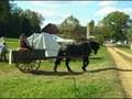 Horse and buggy
