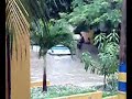 Los arroyos de Barranquilla Los arroyos de Barranquilla