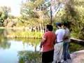pesca laghetto cornino
