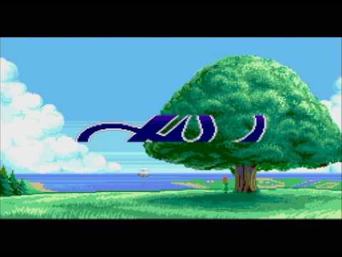 動画