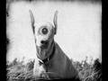 Prana - Alien Pets
