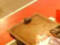 videos de air bag explosion