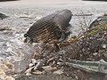 Hurricane Igor in Southwest Arm Newfoundland Canada