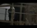 videos de Silent Hill 2-First Monster Encounter