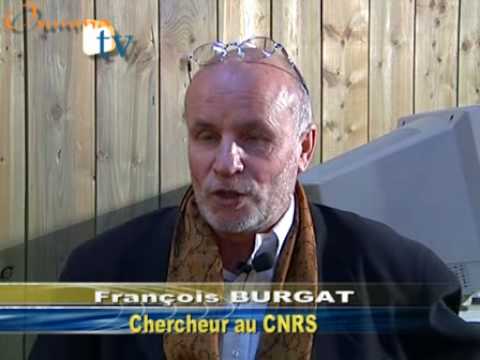 Voir la vidéo