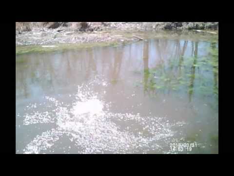 Slough Creek 3