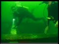 Diving Navy Barges Pensacola Fl. Diving Navy Barges Pensacola Fl.