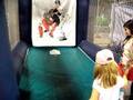 videos de My 5 year old can strike out your 5 year old