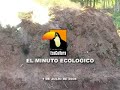 un minuto ecológico   carbón artesanal