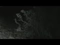 Chasing Lions in the Okavango Delta-Part I