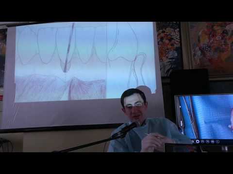 Практикум по пластике мягких тканей десны в области зубов и имплантатов. Часть 16