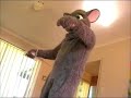How Wii Rats Keep Fit