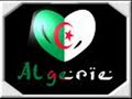 les algerien .