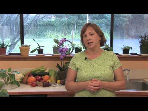 how to transplant kudzu