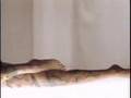 Gisele Bundchen's Tattoos