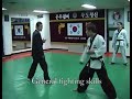 Hapkido Fighting Techniques
