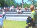 Bird of Prey Photograph Tenerife Jungle Park Parque Aguilas