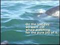 Among Baja's Grey Whales, Earthwatch, March 2008