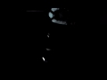 V101109 22 24