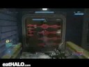 Hammer killtac