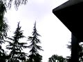 ル　コルビジェ　le corbusier