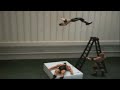 Click here to watch this video Animation Tribute 
