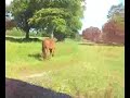 Castle hewson manor house tour