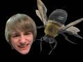 Groin Shot: Fred vs. Bees