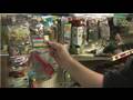 Hermit Crab Care : How to Buy Hermit Crab Supplies