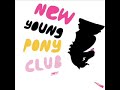 New,Young,Pony