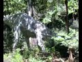 Thailand: Dinosaur Fossil in North-East Thailand