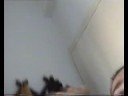 Vandi ipofero parody - ???????? ????? ??????? ??????? - ??????, ??????