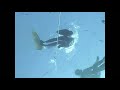 Freediving world championship 2007 - Sanne Rasmussen dive