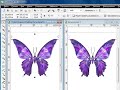 CorelDRAW X5 для начинающих. Векторная графика (1.1)
