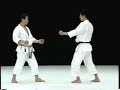 Mawashi geri Mawashi geri