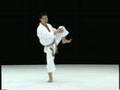 Mawashi geri