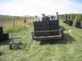 Kinkead Ridge Winery 2009 Mini-Movie: Viognier Pick