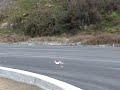 RC AIRPLANE CRASH MOVIE VIDEO