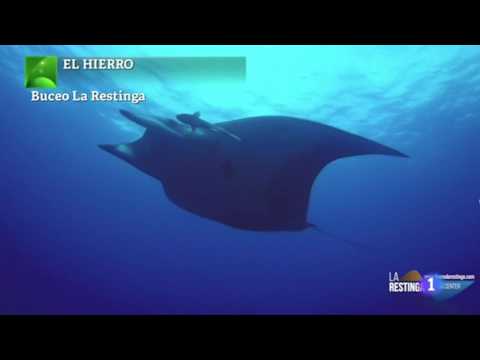 Buceo la Restinga en los medios