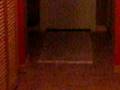videos de Stinkie plays fetch