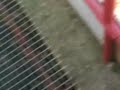 Generac - bikoborbe 2