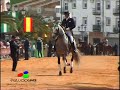 FERIA CABALLO 2008 2 DE 7. DOMA CL�SICA-AMAZONAS