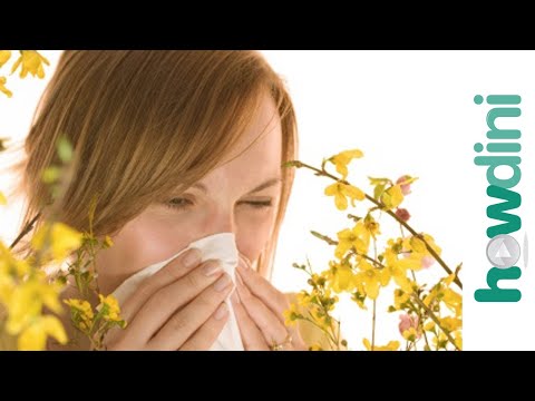 how to control cedar allergies