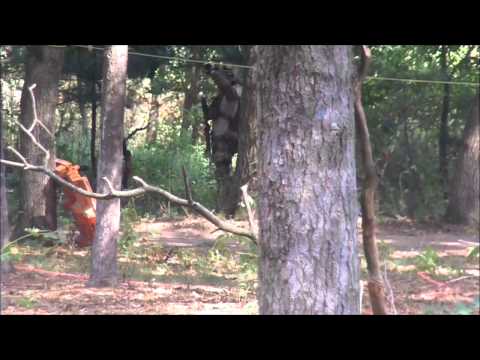 rogue99999 - Just a quick vid of a roughly 280ft shot at the last Operation Vigilance game in Poynette, WI at Apocolypse Paintball. Hopup was acting screwy the whole day ...