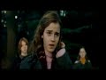 Apologize- Draco/Hermione