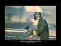 B.V.Valongo...paint ball