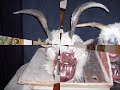 Krampus Hohe Tauern Krampus Hohe Tauern