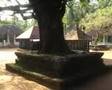 Sree Andalur Kavu Thalassery