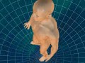 OA_3d_animation_general_overview