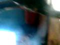 videos de Mamut